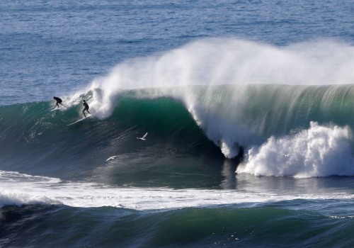 Surfing Paradise: Manhattan Beach, CA's Waves